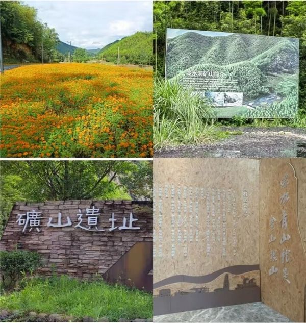 MK体育官方网站
