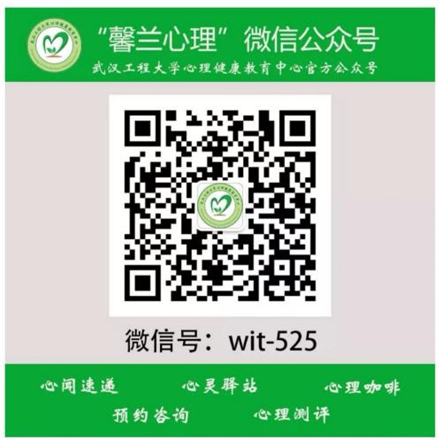 MK体育官方网站