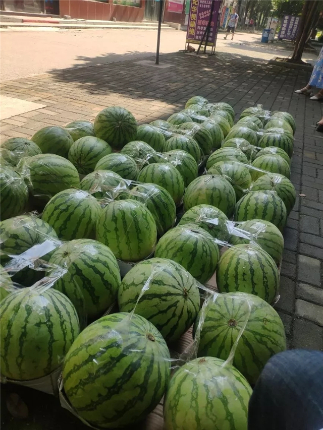 MK体育官方网站