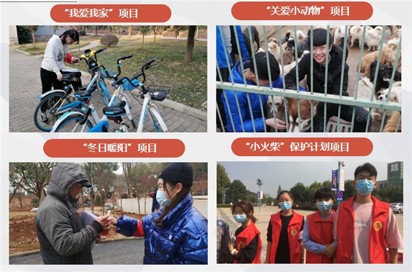 MK体育官方网站