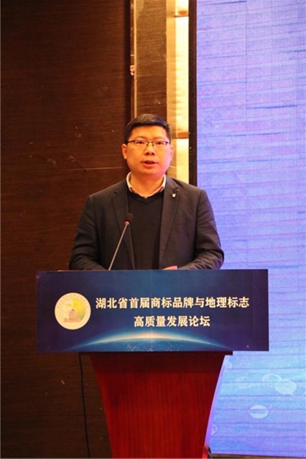 MK体育官方网站