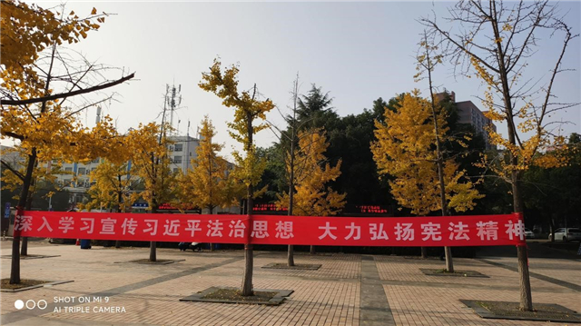 MK体育官方网站
