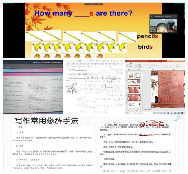 MK体育官方网站